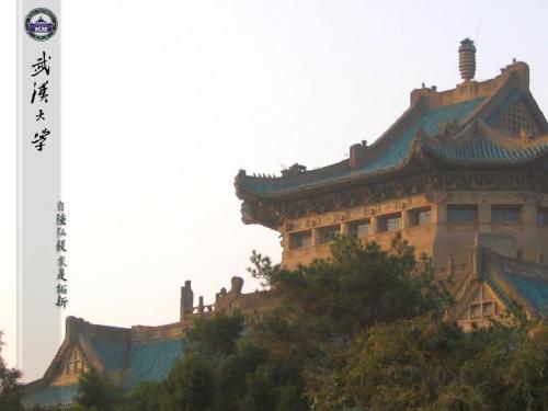 武大