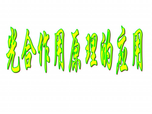 高一生物光合作用2