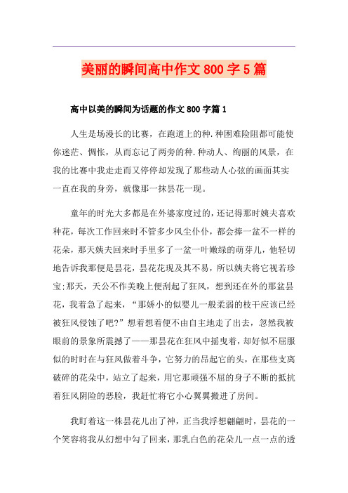 美丽的瞬间高中作文800字5篇