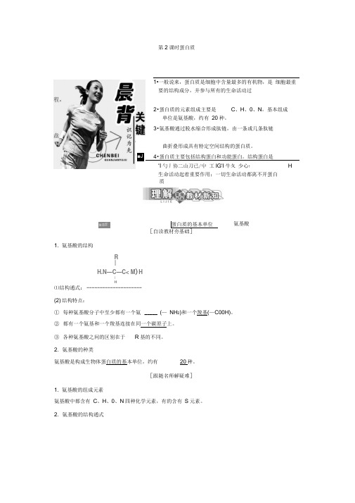 2019-2020学年高中生物北师大版必修一教学案：第2章第3节第2课时蛋白质Word版含答案