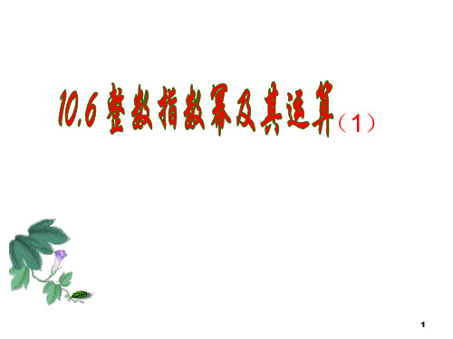 沪教版(上海)初中数学七年级第一学期 10.6 整数指数幂及其运算 课件