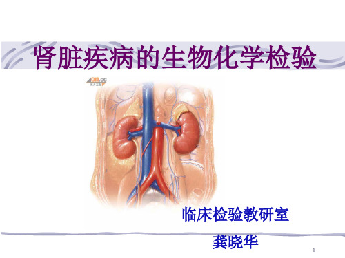 8. 肾脏疾病的生物化学检验解析