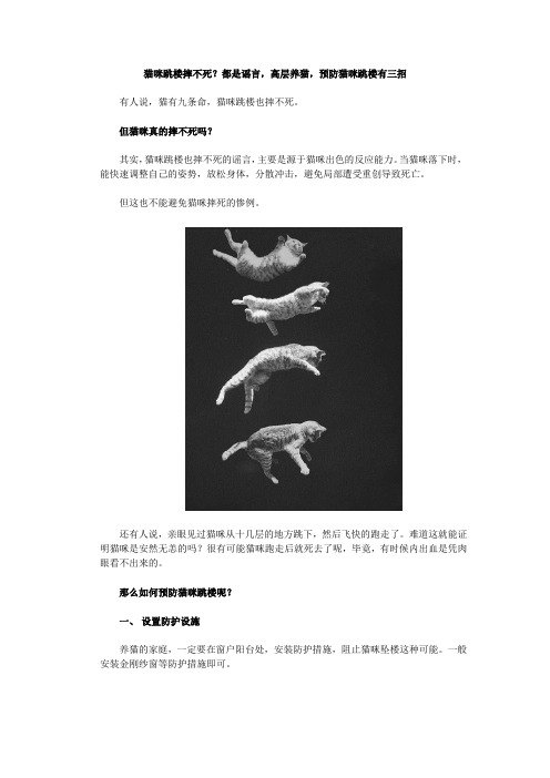 猫咪跳楼摔不死？都是谣言,高层养猫,预防猫咪跳楼有三招