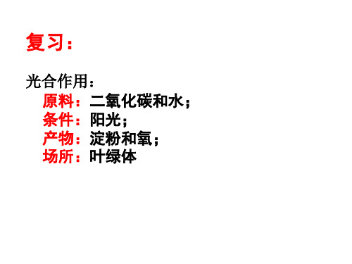北师大版初中生物七上第三单元第五章第1节《光合作用》 课件 (共36页)