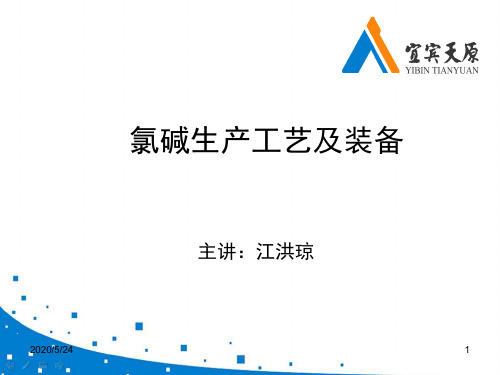 2010-1101氯碱生产工艺及装备
