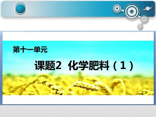 初三化学-化学肥料-ppt