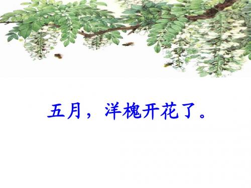槐乡五月第二课时PPT
