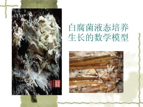 白腐菌的液态培养模型