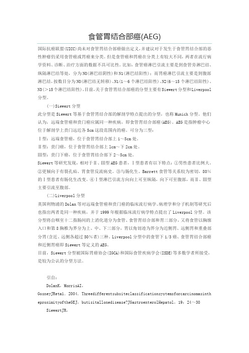 食管胃结合部癌(AEG)