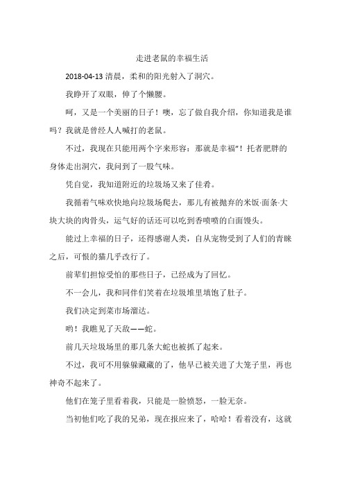 走进老鼠的幸福生活