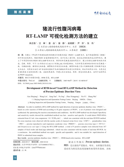 猪流行性腹泻病毒RTLAMP可视化检测方法的建立