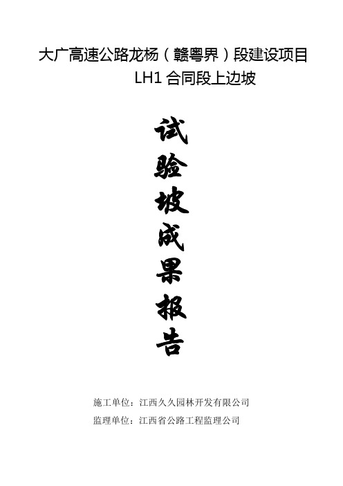 试验坡成果报告1