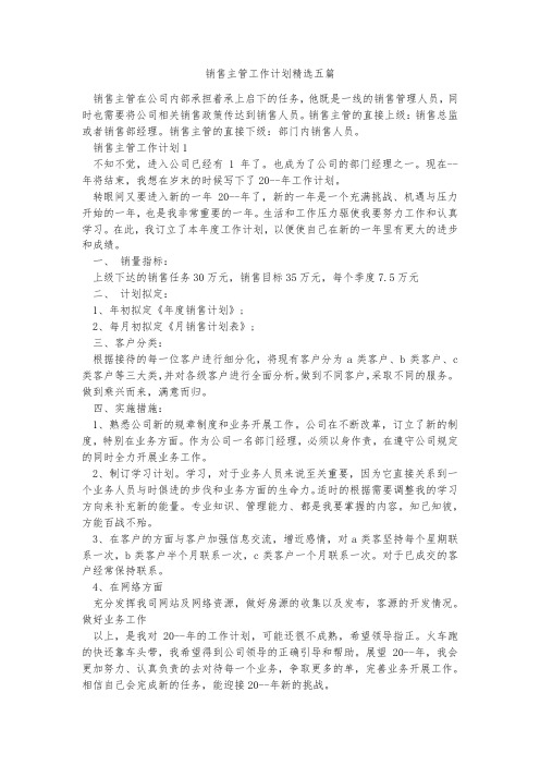 销售主管工作计划精选五篇