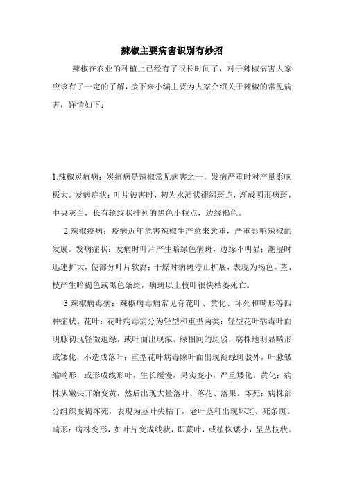 辣椒主要病害识别有妙招.doc