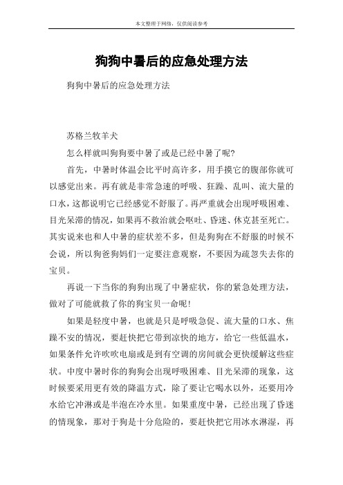 狗狗中暑后的应急处理方法