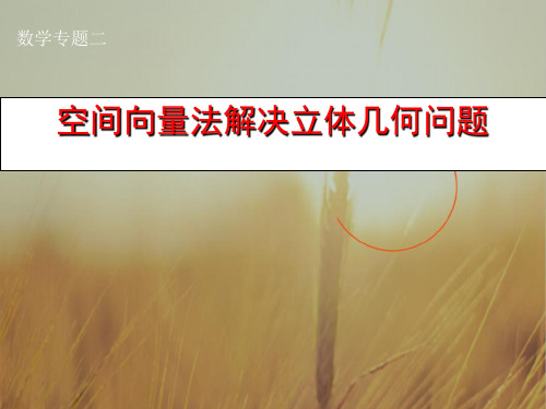 最新-高中数学 空间向量法解决立体几何问题课件 新人教版 精品 