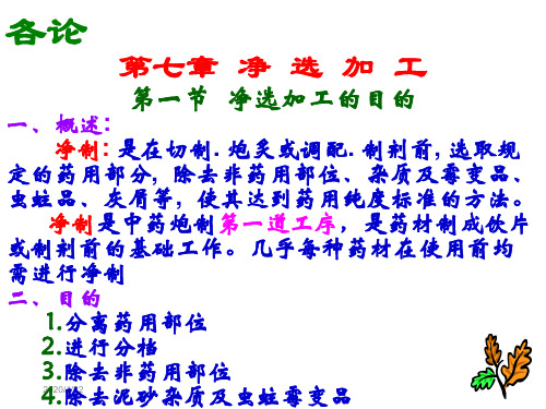 中药炮制学-第九章净选加工-小凯