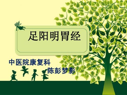 针灸十二经脉 胃络