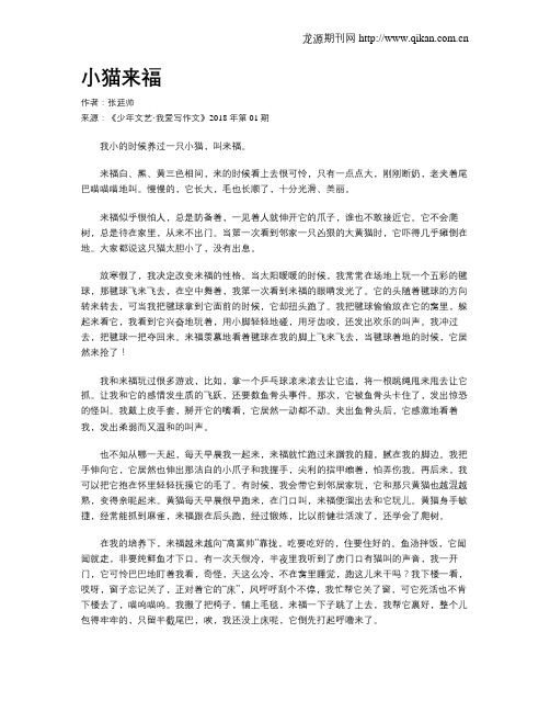 小猫来福