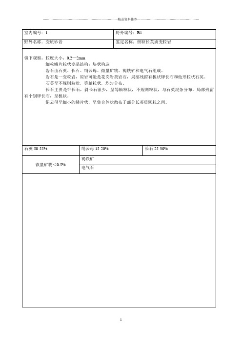 XXXX岩矿鉴定报告