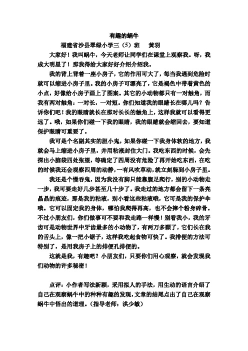黄羽《有趣的蜗牛》(2)