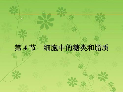 【金牌学案】人教版2015-2016学年高中生物必修一同步教学资料课件 2.4  细胞中的糖类和脂质