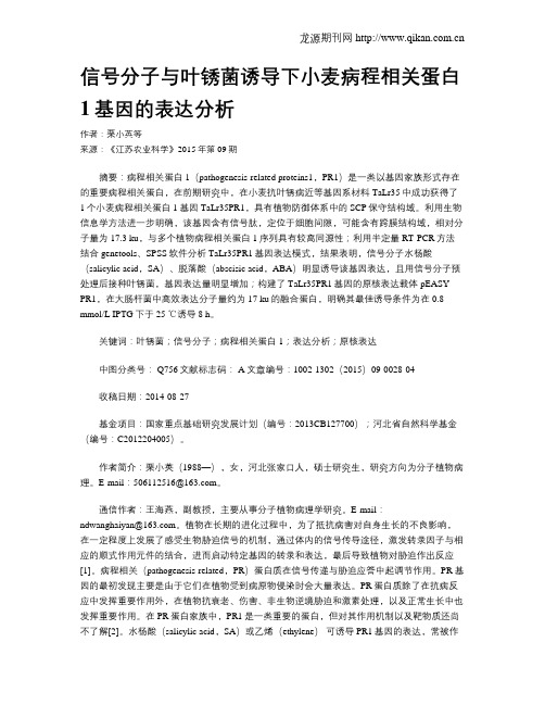信号分子与叶锈菌诱导下小麦病程相关蛋白1基因的表达分析