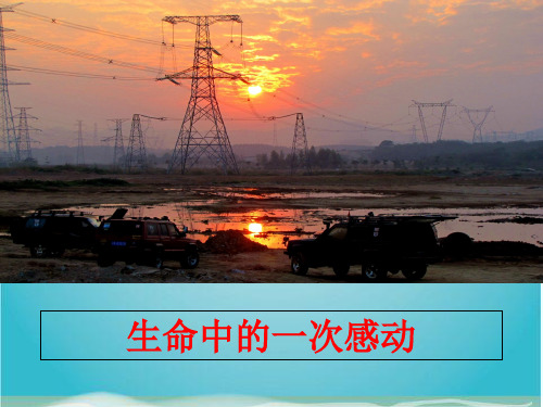 生命中的一次感动