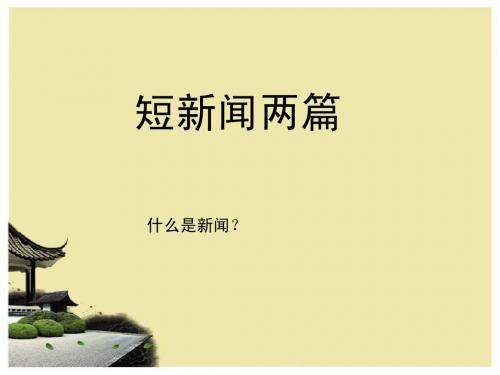 《别了,“不列颠尼亚”》演示文稿