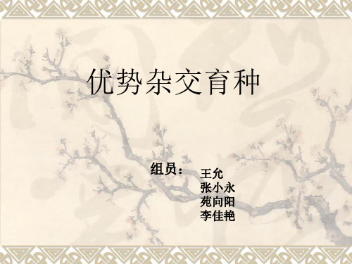 第九组  第八章 优势杂交育种