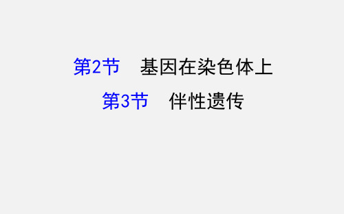 高考生物 一轮复习 基因和染色体的关系 第2-3节 基因在染色体上、伴性遗传 新人教必修2