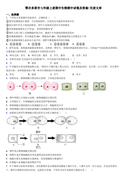 鄂尔多斯市七年级上册期中生物期中试卷及答案-百度文库