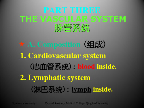 【医学课件】心血管系统中英文解剖学0课件