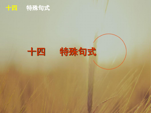 广东省广州市2018高考高三英语语法一轮复习精讲精练课件：单项填空特殊句式 含答案