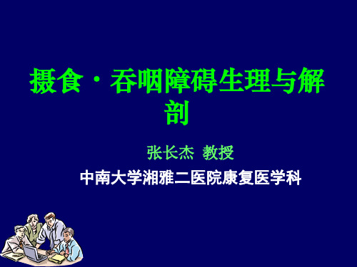 摄食、吞咽障碍生理及解剖 张长杰  言语治疗师专区