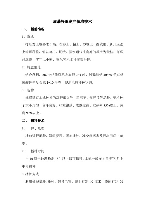 滴灌籽瓜高产栽培技术
