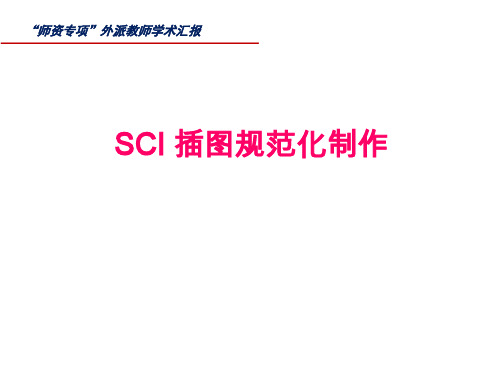 SCI插图的规范化操作