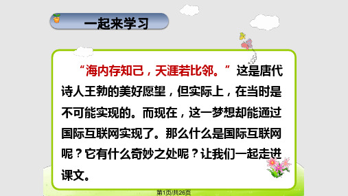 19奇妙的国际互联网ppt课件PPT教学课件