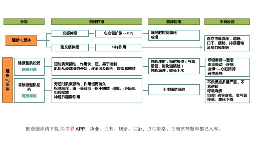 药理学(第9版)第九章 胆碱受体阻断药(Ⅱ)——N胆碱受体阻断药 本章小结