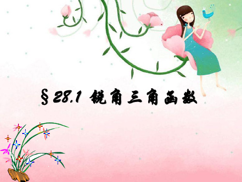 《锐角三角函数》ppt1