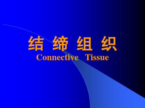 结缔组织