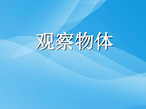 4《观察物体》课件1课件PPT
