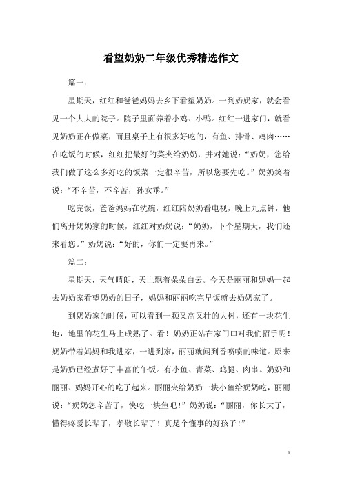 看望奶奶二年级优秀精选作文