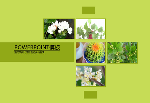 植物主题PPT模板