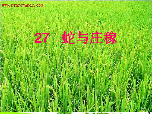 中小学优质课件蛇与庄稼课件.ppt