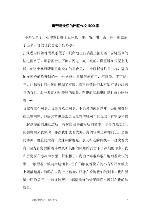 痛苦与快乐的回忆作文500字