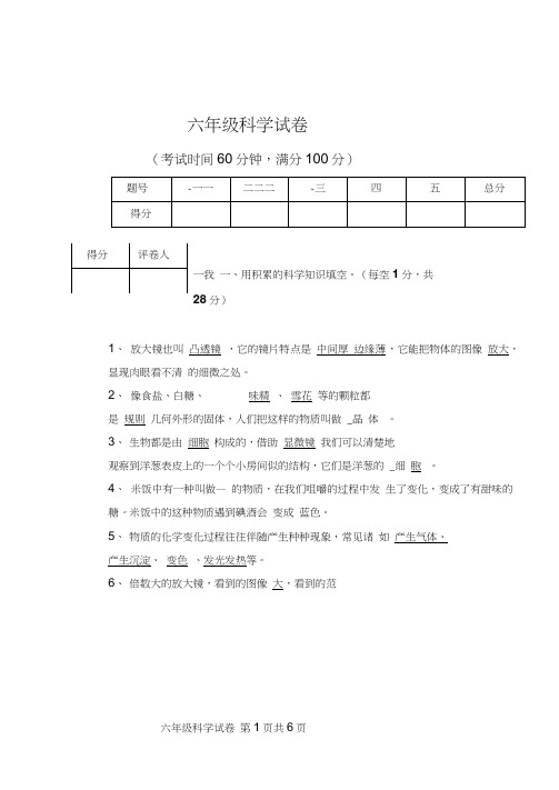 教科版六年级科学下册练习卷(有答案)