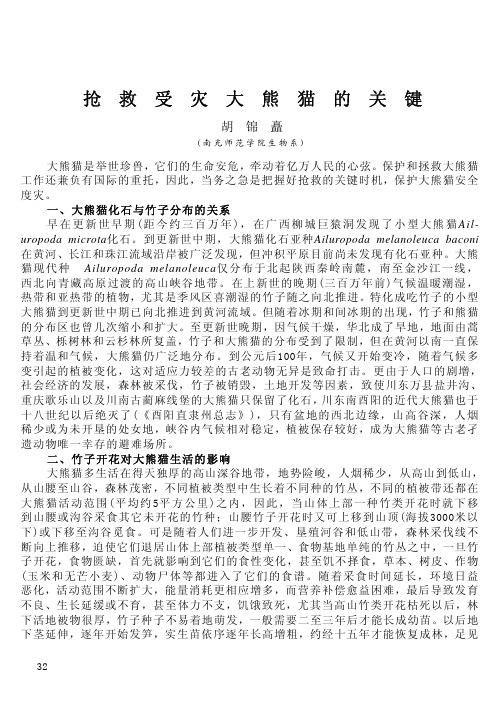 抢救受灾大熊猫的关键-四川动物