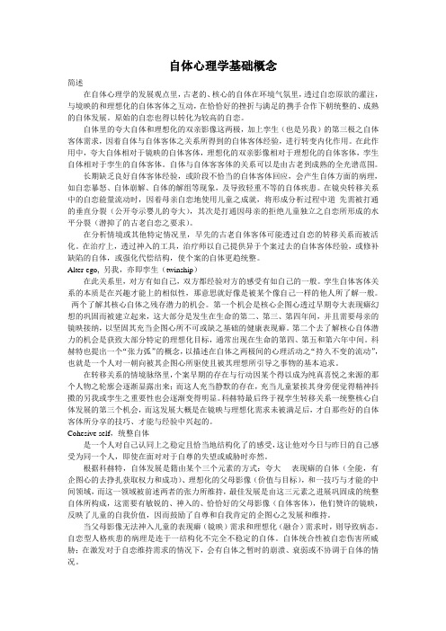 自体心理学基础概念