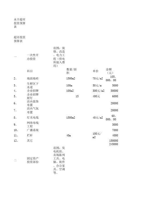 超市投资预算表